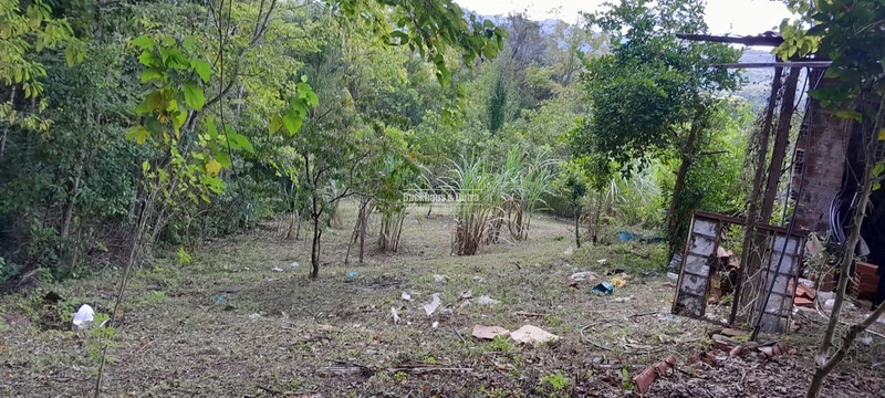 ROLANTE - TERRENO COM 1.900M²- BAIRRO AREIA: 10ª foto da galeria de imagens do imóvel