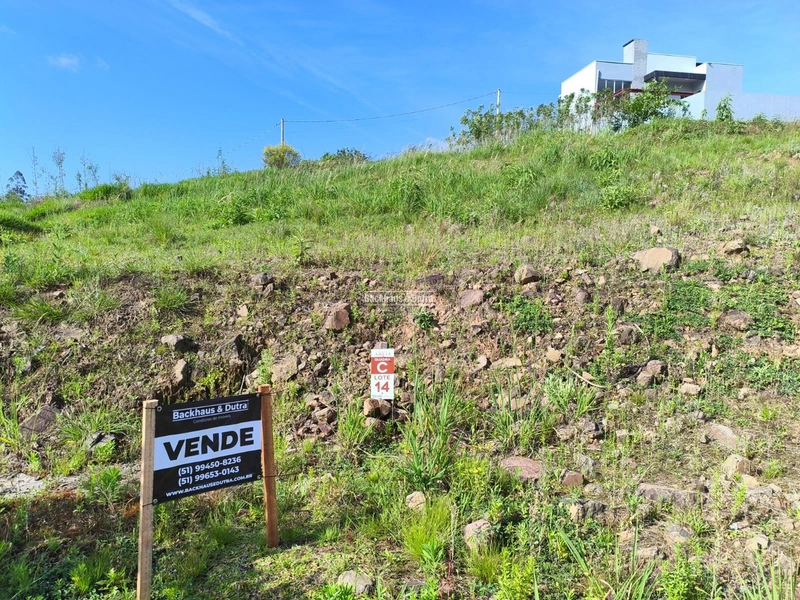 ROLANTE- TERRENO LOTE 14  COM 296,40 m²- AREIA: 1ª foto da galeria de imagens do imóvel