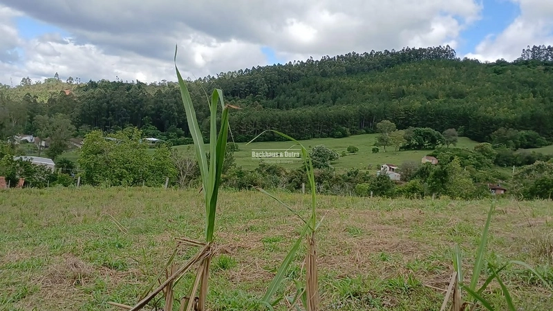 ROLANTE- CHÁCARA DE 2 HECTARES - AREIA: 1ª foto da galeria de imagens do imóvel