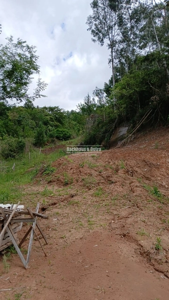 ROLANTE- CHÁCARA DE 2 HECTARES - AREIA: 3ª foto da galeria de imagens do imóvel