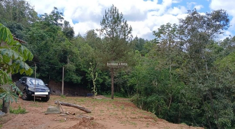 ROLANTE- CHÁCARA DE 2 HECTARES - AREIA: 2ª foto da galeria de imagens do imóvel
