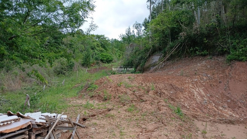 ROLANTE- CHÁCARA DE 2 HECTARES - AREIA: 5ª foto da galeria de imagens do imóvel