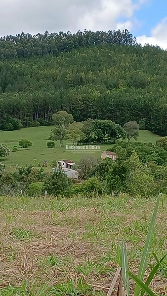 ROLANTE- CHÁCARA DE 2 HECTARES - AREIA: 8ª foto da galeria de imagens do imóvel