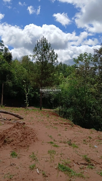 ROLANTE- CHÁCARA DE 2 HECTARES - AREIA: 4ª foto da galeria de imagens do imóvel