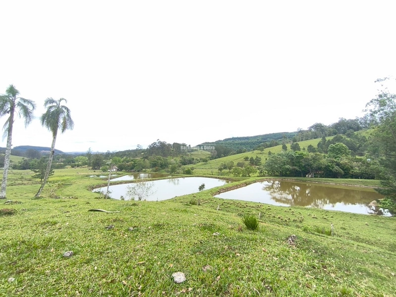 TAQUARA - PROPRIEDADE RURAL DE 30 HECTARES- AÇOITA CAVALO: 37ª foto da galeria de imagens do imóvel