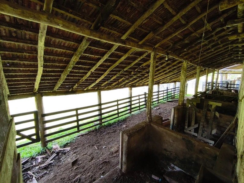 TAQUARA - PROPRIEDADE RURAL DE 30 HECTARES- AÇOITA CAVALO: 10ª foto da galeria de imagens do imóvel