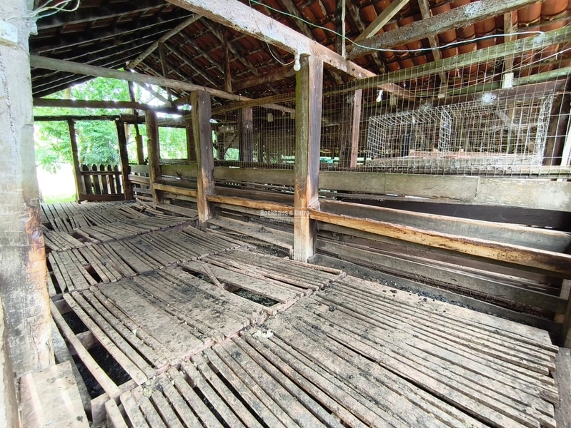 TAQUARA - PROPRIEDADE RURAL DE 30 HECTARES- AÇOITA CAVALO: 35ª foto da galeria de imagens do imóvel