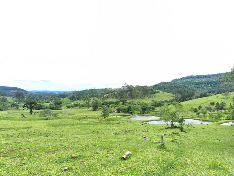 TAQUARA - PROPRIEDADE RURAL DE 30 HECTARES- AÇOITA CAVALO: 38ª foto da galeria de imagens do imóvel