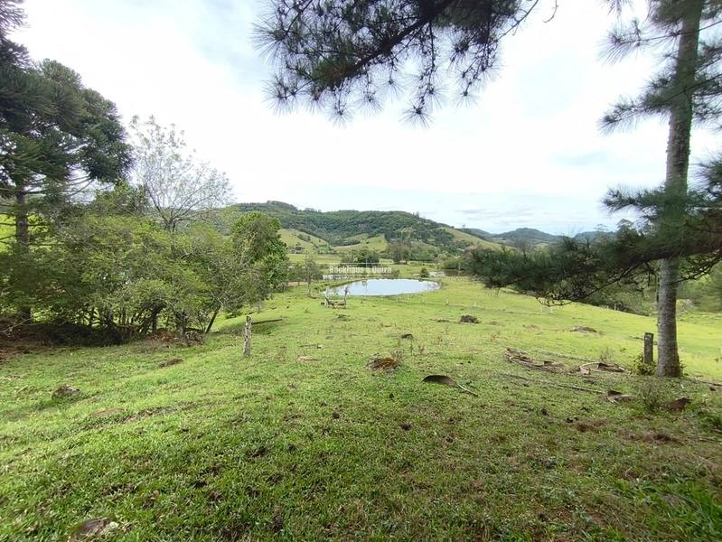TAQUARA - PROPRIEDADE RURAL DE 30 HECTARES- AÇOITA CAVALO: 43ª foto da galeria de imagens do imóvel