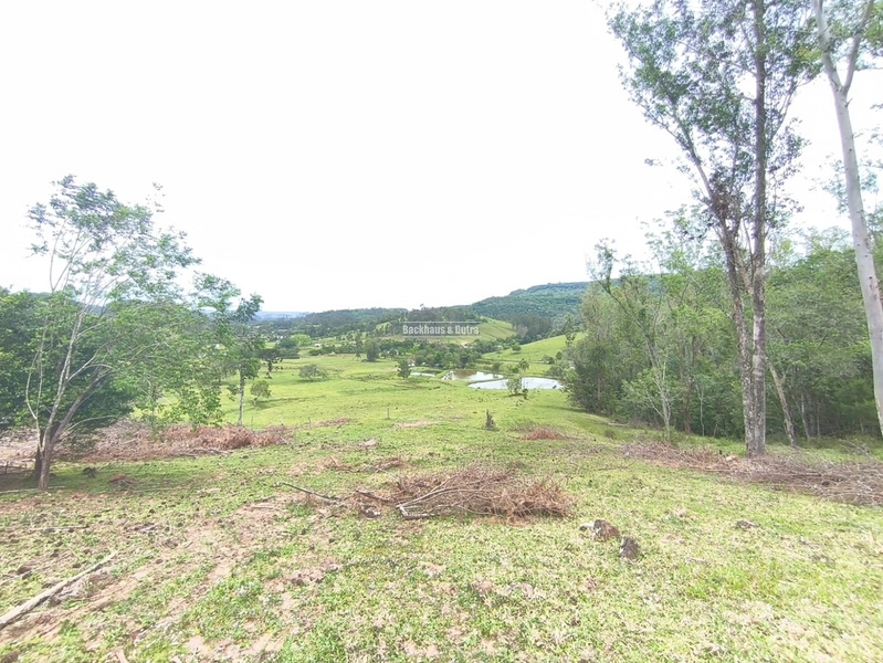 TAQUARA - PROPRIEDADE RURAL DE 30 HECTARES- AÇOITA CAVALO: 42ª foto da galeria de imagens do imóvel