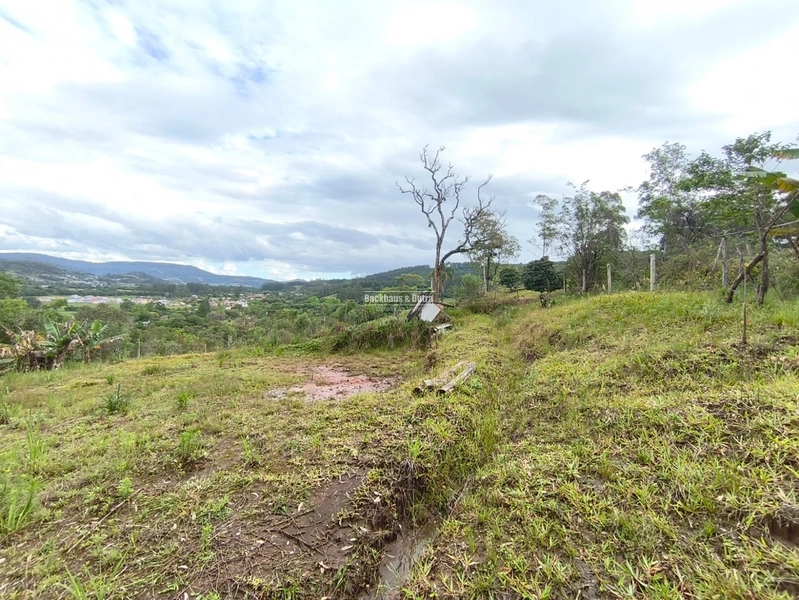 ROLANTE- 2 LOTES COM 400M²- AREIA: 5ª foto da galeria de imagens do imóvel