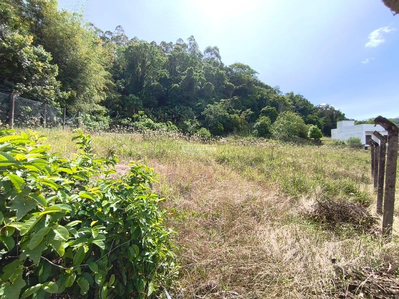 ROLANTE -TERRENO 1 DE 613M²- GRASSMANN: 3ª foto da galeria de imagens do imóvel