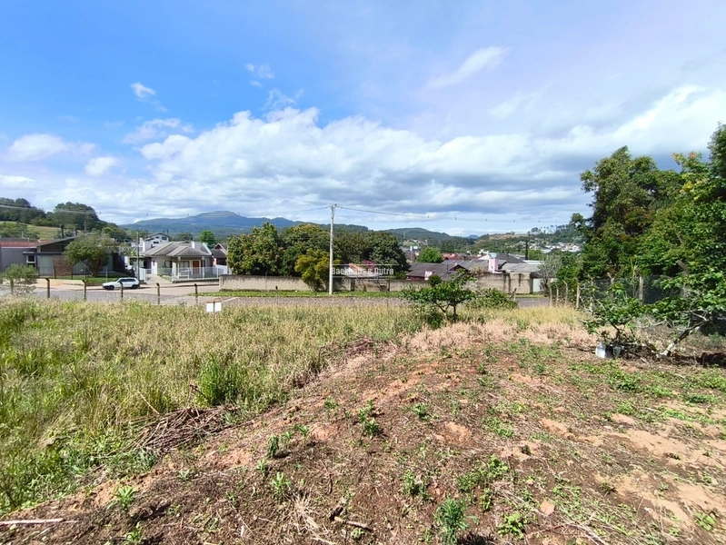 ROLANTE -TERRENO 2 DE 547m²- GRASSMANN: 2ª foto da galeria de imagens do imóvel