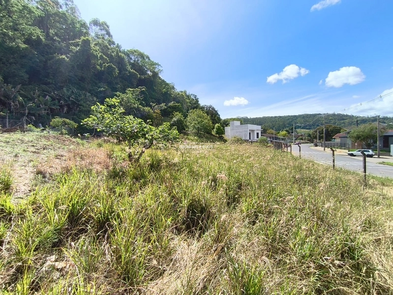 ROLANTE - TERRENO 3 DE 514,53 m²- GRASSMANN: 3ª foto da galeria de imagens do imóvel