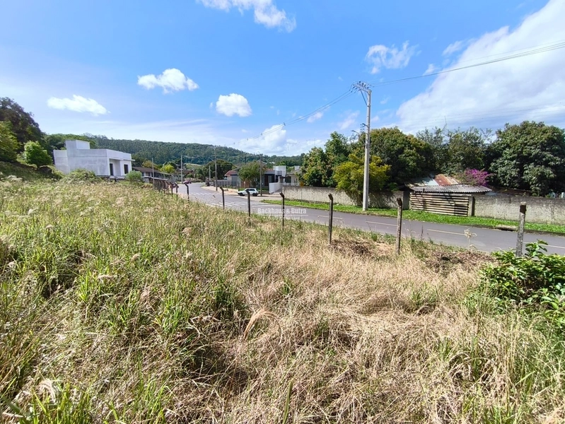 ROLANTE - TERRENO 3 DE 514,53 m²- GRASSMANN: 1ª foto da galeria de imagens do imóvel