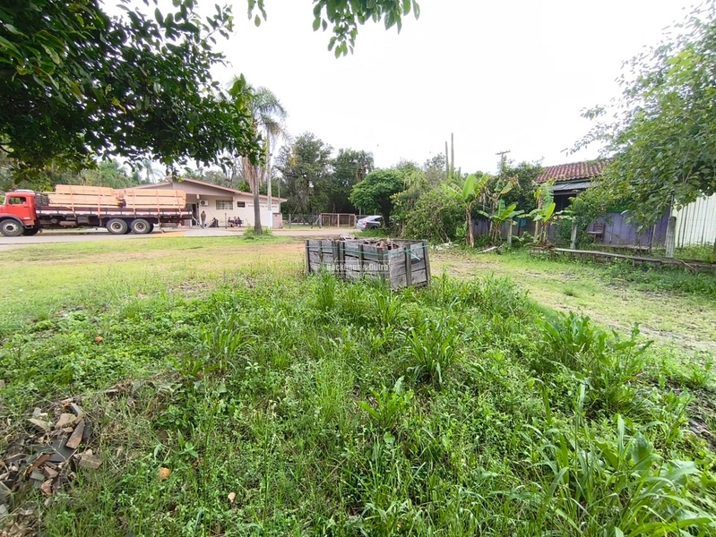 ROLANTE -TERRENO DE 300M²-ROLANTINHO: 4ª foto da galeria de imagens do imóvel