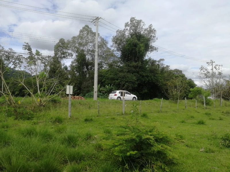 Rolante- Terreno 1780m² Frente para ERS 239 /Rio Branco: 2ª foto da galeria de imagens do imóvel