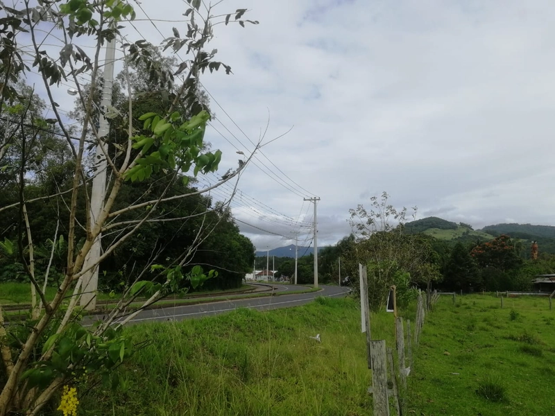 Rolante- Terreno 1780m² Frente para ERS 239 /Rio Branco: 5ª foto da galeria de imagens do imóvel