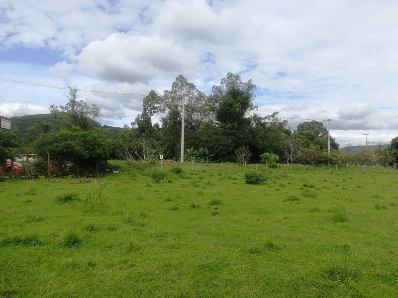 Rolante- Terreno 1780m² Frente para ERS 239 /Rio Branco: 6ª foto da galeria de imagens do imóvel