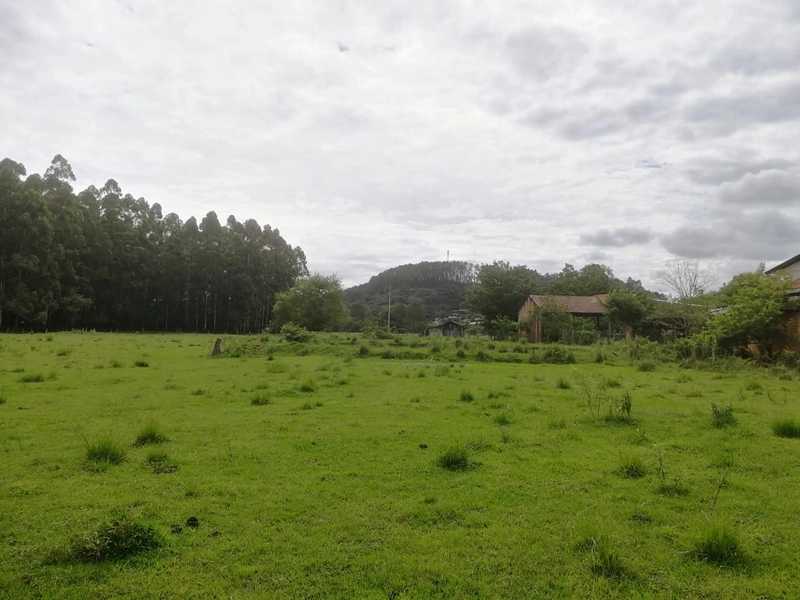 Rolante- Terreno 1780m² Frente para ERS 239 /Rio Branco: 1ª foto da galeria de imagens do imóvel