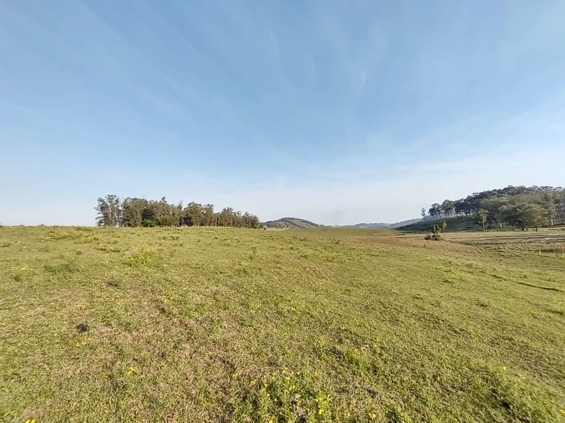 Santo Antônio da Patrulha- 10.9 Hectares Catanduva: 6ª foto da galeria de imagens do imóvel
