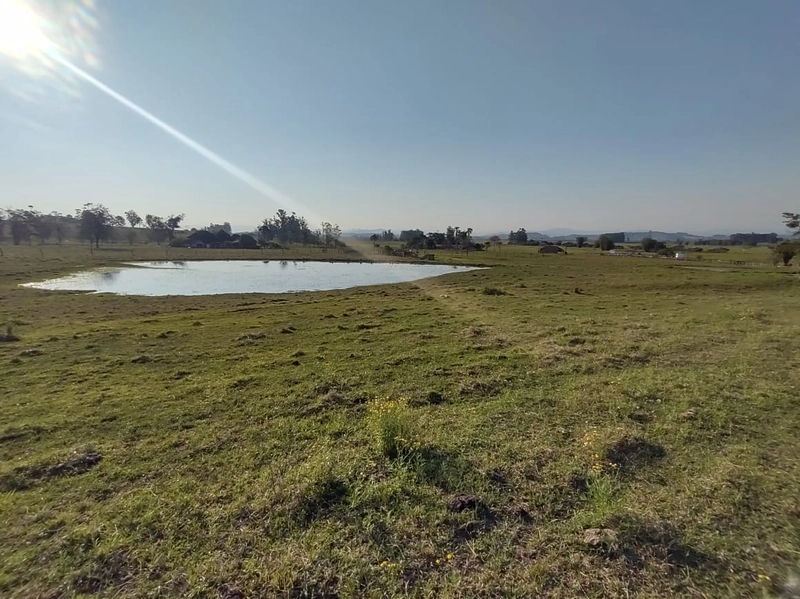 Santo Antônio da Patrulha- 10.9 Hectares Catanduva: 10ª foto da galeria de imagens do imóvel