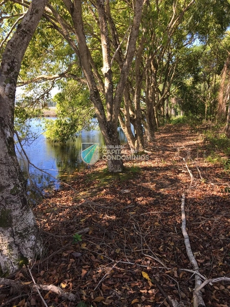 Lote pronto para construir: 3ª foto da galeria de imagens do imóvel