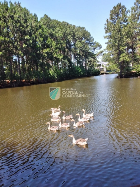 Sobrado no Carmel: 64ª foto da galeria de imagens do imóvel