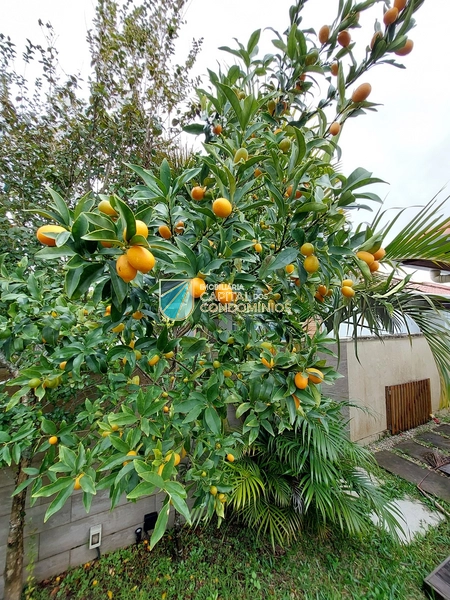 : 19ª foto da galeria de imagens do imóvel