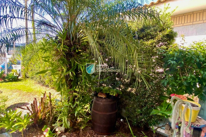 Casa térrea no centro: 12ª foto da galeria de imagens do imóvel