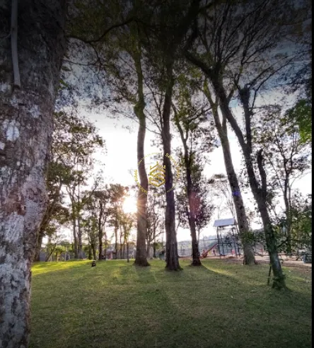 Terrenos no Walville: 2ª foto da galeria de imagens do imóvel