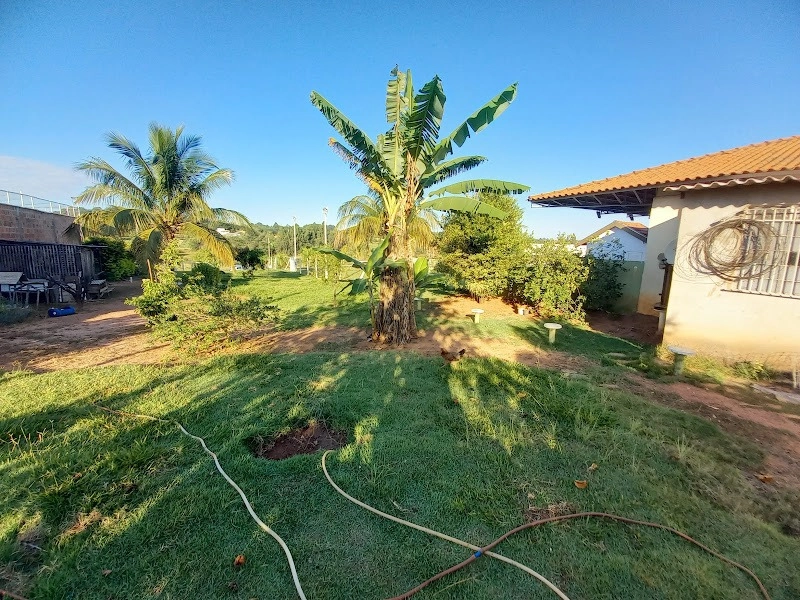 Vende-se Chácara no Bairro Letícia em Padre Nobrega.: 9ª foto da galeria de imagens do imóvel