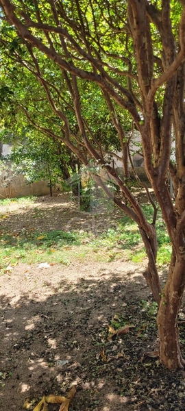 Casa à venda com 3 dormitórios no Jardim Ohara em Marília-SP: 23ª foto da galeria de imagens do imóvel