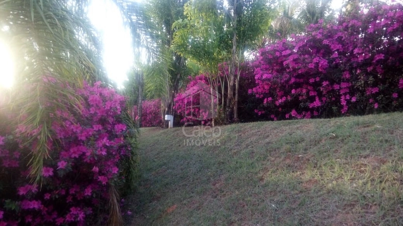 Chácara a venda próx ao Jardim Flamingo em Marília SP: 8ª foto da galeria de imagens do imóvel