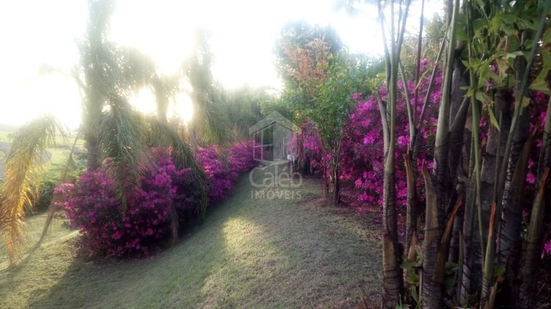 Chácara a venda próx ao Jardim Flamingo em Marília SP: 13ª foto da galeria de imagens do imóvel