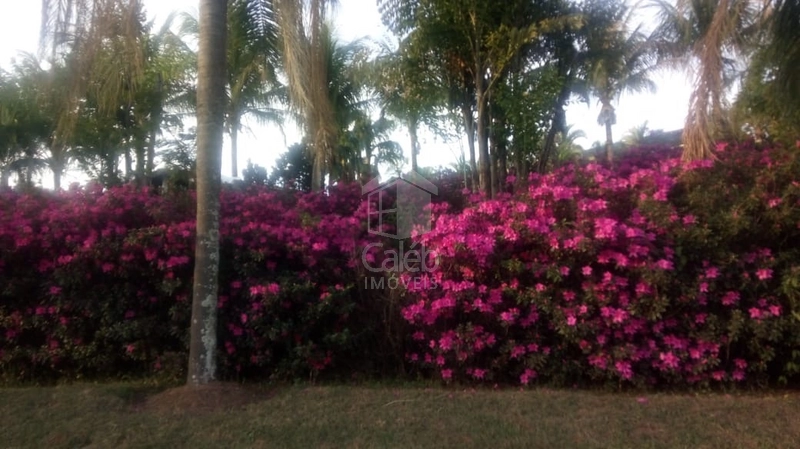 Chácara a venda próx ao Jardim Flamingo em Marília SP: 12ª foto da galeria de imagens do imóvel