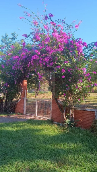Casa na Chácara Céu da Terra em Marilia/ SP: 3ª foto da galeria de imagens do imóvel