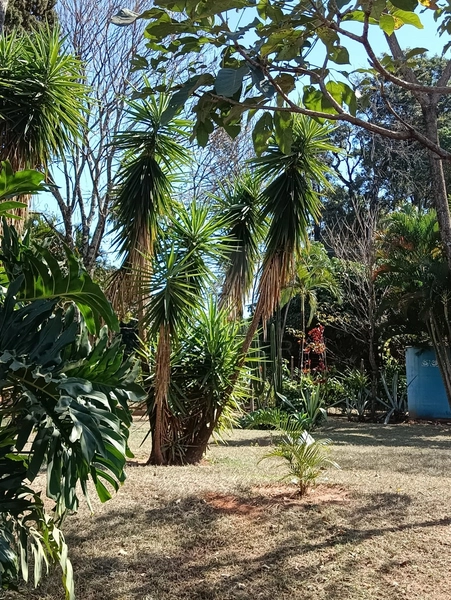 Chacara com 5 quartos e piscina aquecida no Jd America em Marilia / SP: 9ª foto da galeria de imagens do imóvel