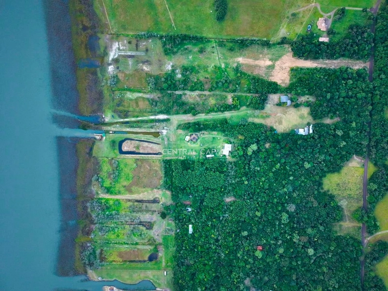 Sítio à beira da Lagoa do Palmital em Osório: 17ª foto da galeria de imagens do imóvel