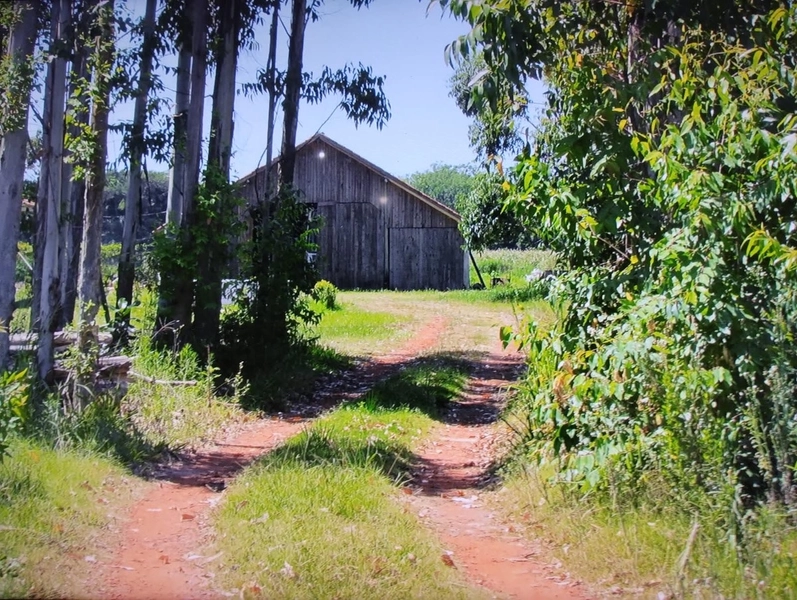 SÍTIO À VENDA EM ARROIO TEIXEIRA: 6ª foto da galeria de imagens do imóvel