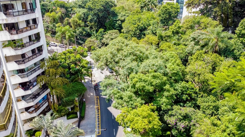 Apartamento 3 suítes 4 vagas em Higienópolis: 11ª foto da galeria de imagens do imóvel