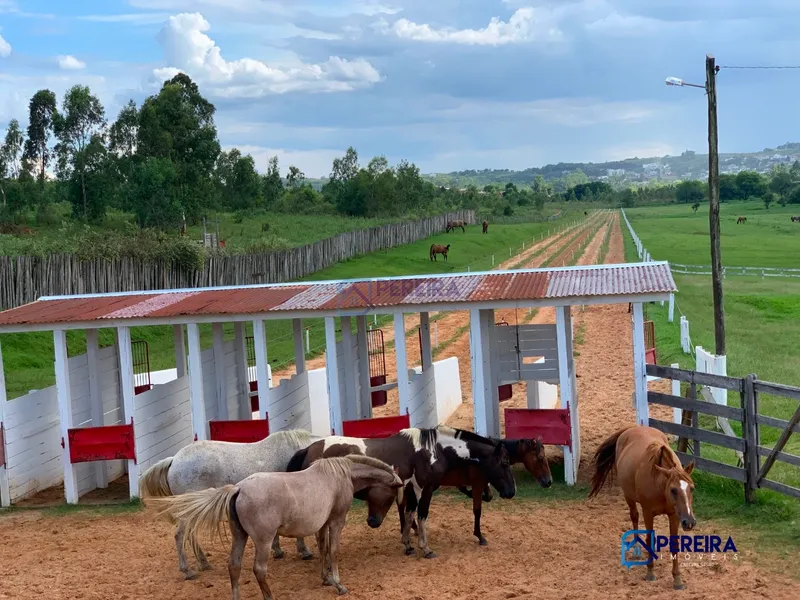 Chácara na Carolina em Livramento: 1ª foto da galeria de imagens do imóvel