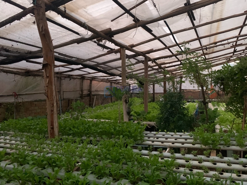 Casa com 3 dormitórios no Prado: 7ª foto da galeria de imagens do imóvel