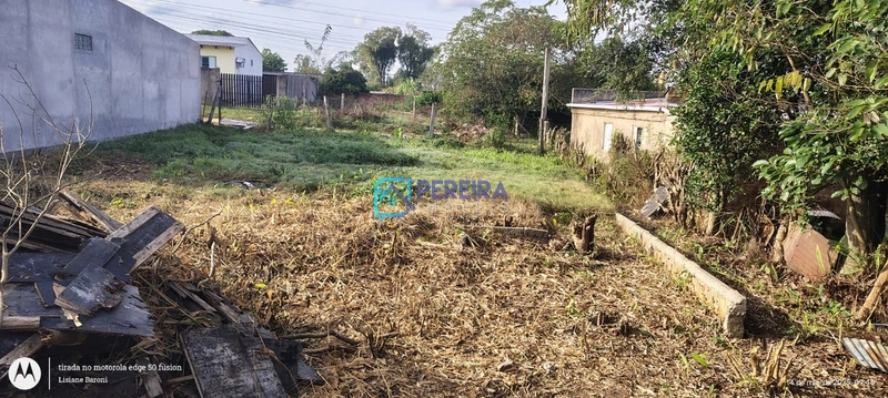 Terreno no bairro Morada da Colina.: 3ª foto da galeria de imagens do imóvel