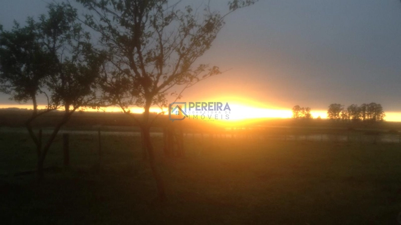 Campo na Faxina: 3ª foto da galeria de imagens do imóvel