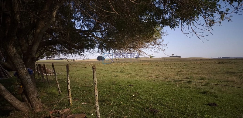 Campo na Faxina: 8ª foto da galeria de imagens do imóvel