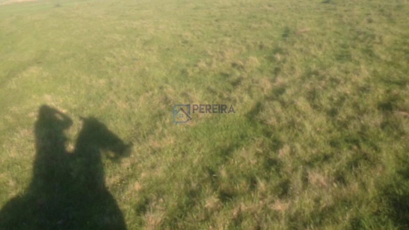 Campo na Faxina: 9ª foto da galeria de imagens do imóvel