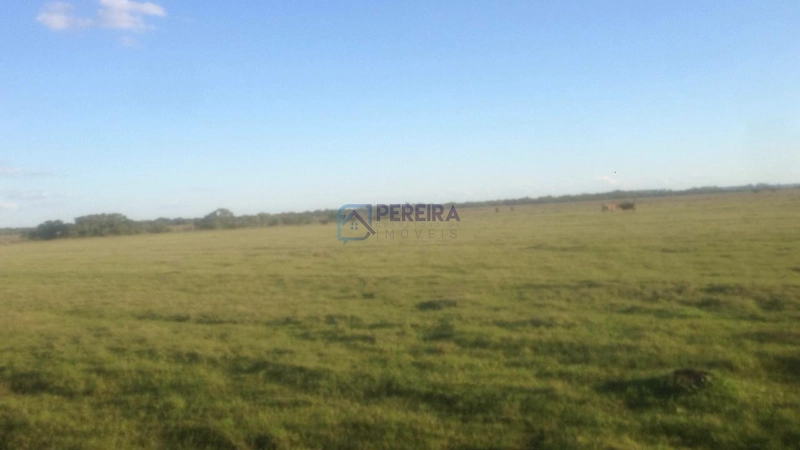 Campo na Faxina: 10ª foto da galeria de imagens do imóvel