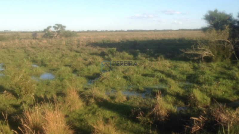 Campo na Faxina: 1ª foto da galeria de imagens do imóvel