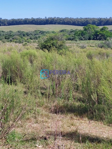 Chácara na Mangueira Colorada: 2ª foto da galeria de imagens do imóvel